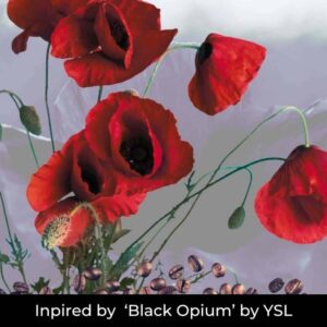Dark Poppies (Black Opium) Fragrance oil