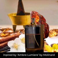 Luminous (Ambre Lumiere) Fragrance Oils for Candle making, Soap making, Diffusers