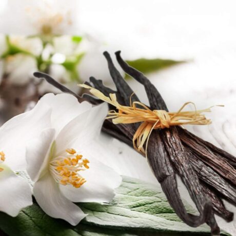 Jasmine Vanilla Almond fragrance oil for use in candles, soap, perfume, diffusers and more